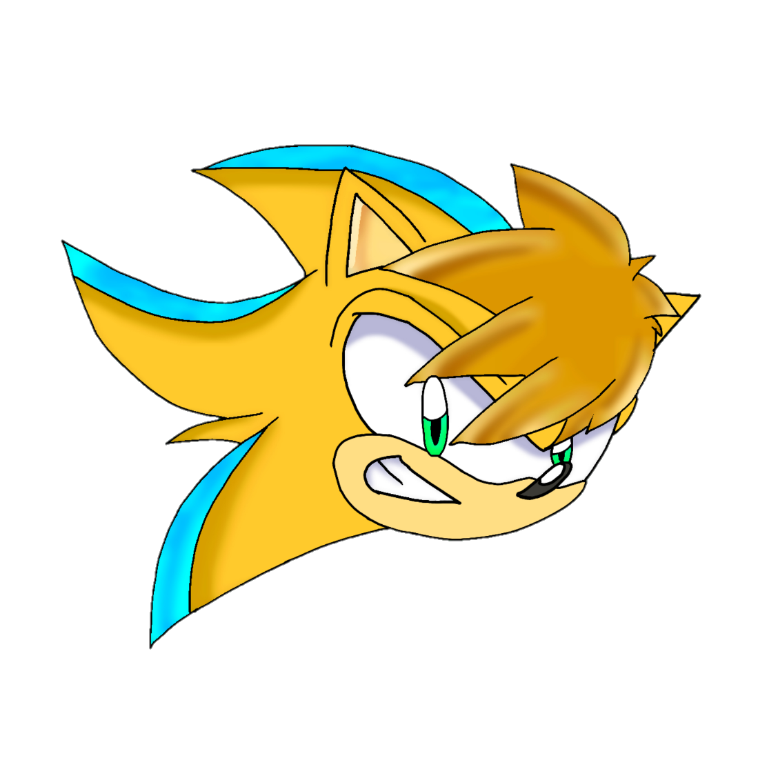 SuperSonicMikey (1)